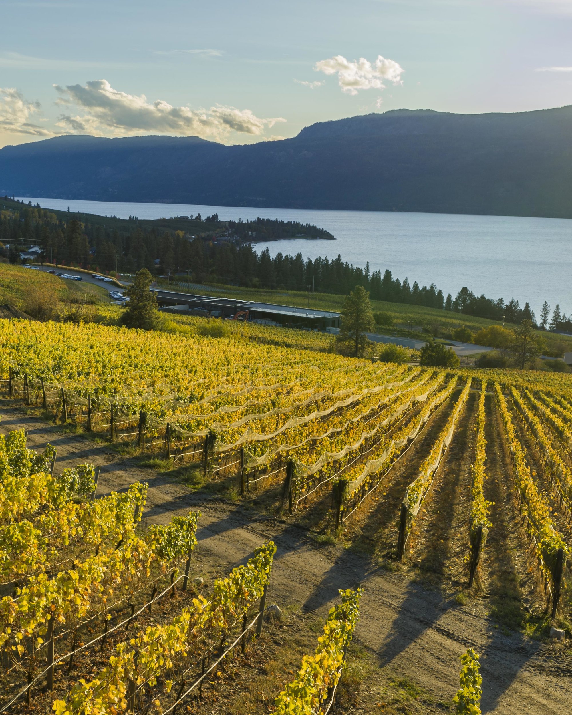 Kelowna winery tour destination