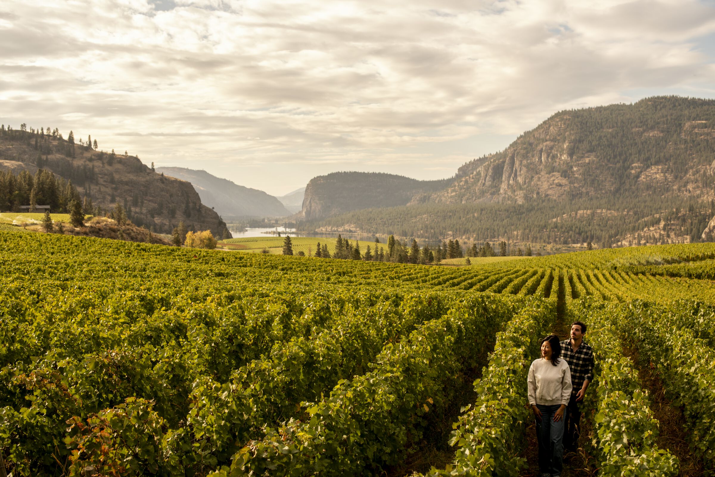 Okanagan Valley chauffeur service destination